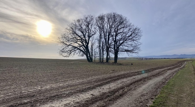 Online meditační setkání - Enneagram