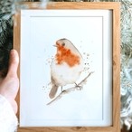 Akvarel - Ptáčci a peříčka